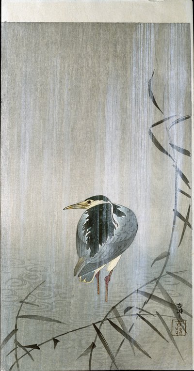 Bird in the Rain, 1907 by Ohara Koson
